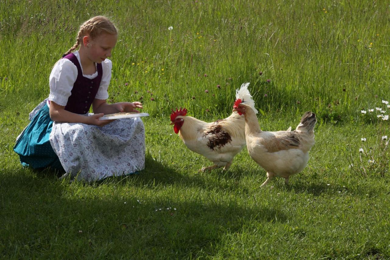 Beim Lenglacher Farm stay *