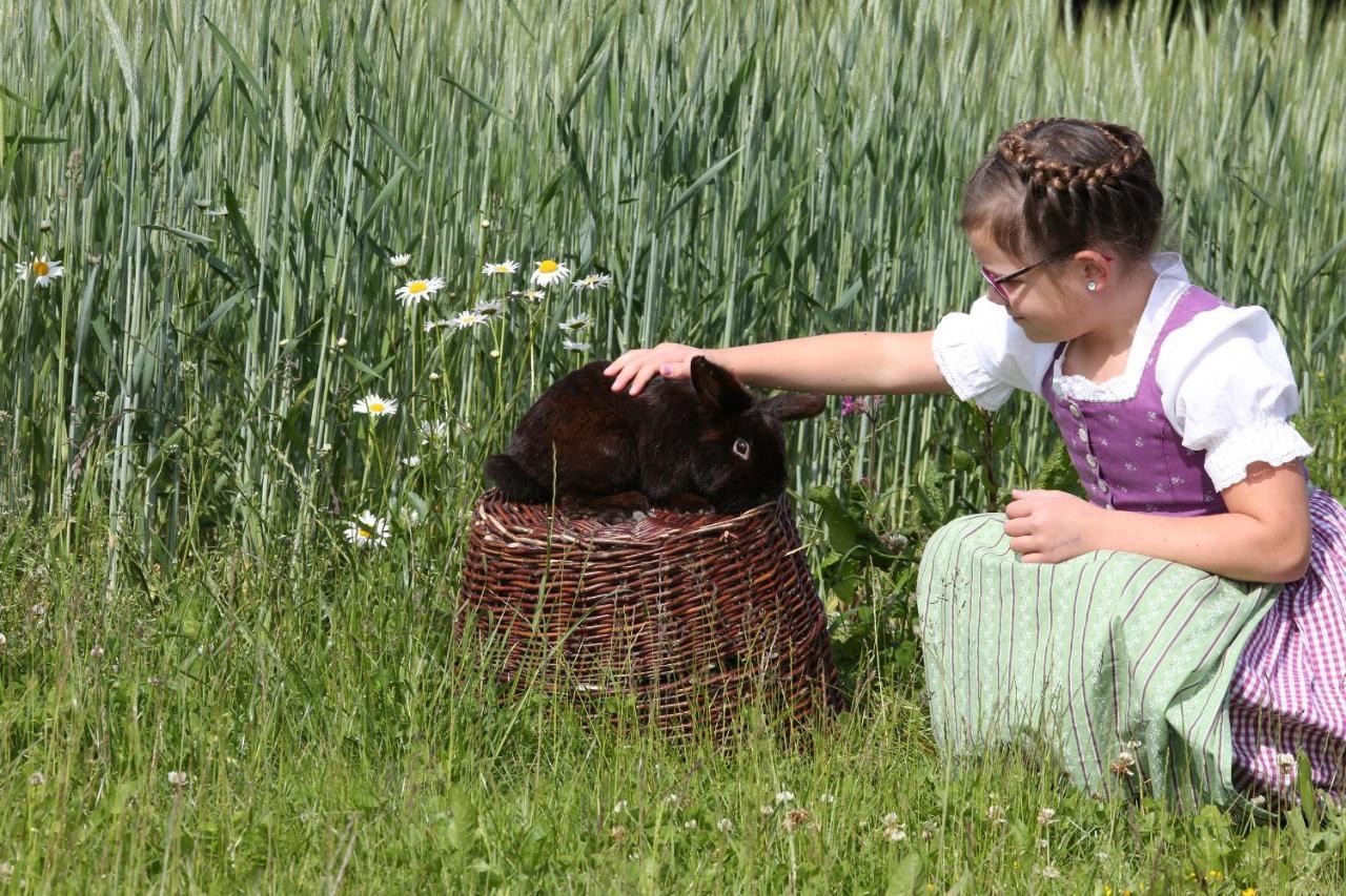 Farm stay Beim Lenglacher Chieming